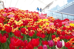 東京駅八重洲口3月31日