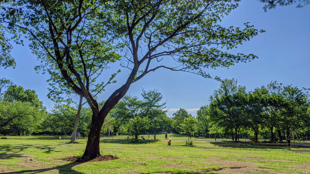 柏の宮公園5月7日