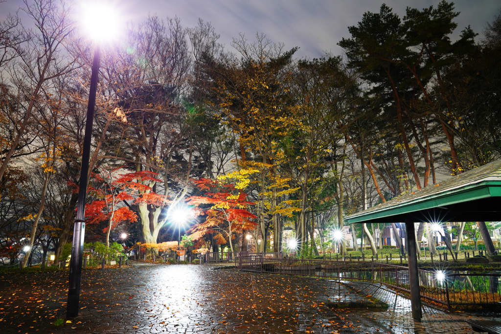 塚山公園12月22日