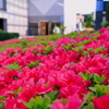 浜田山4月23日