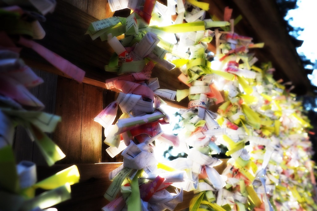 12月20日 高尾山