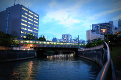 五反田目黒川5月12日