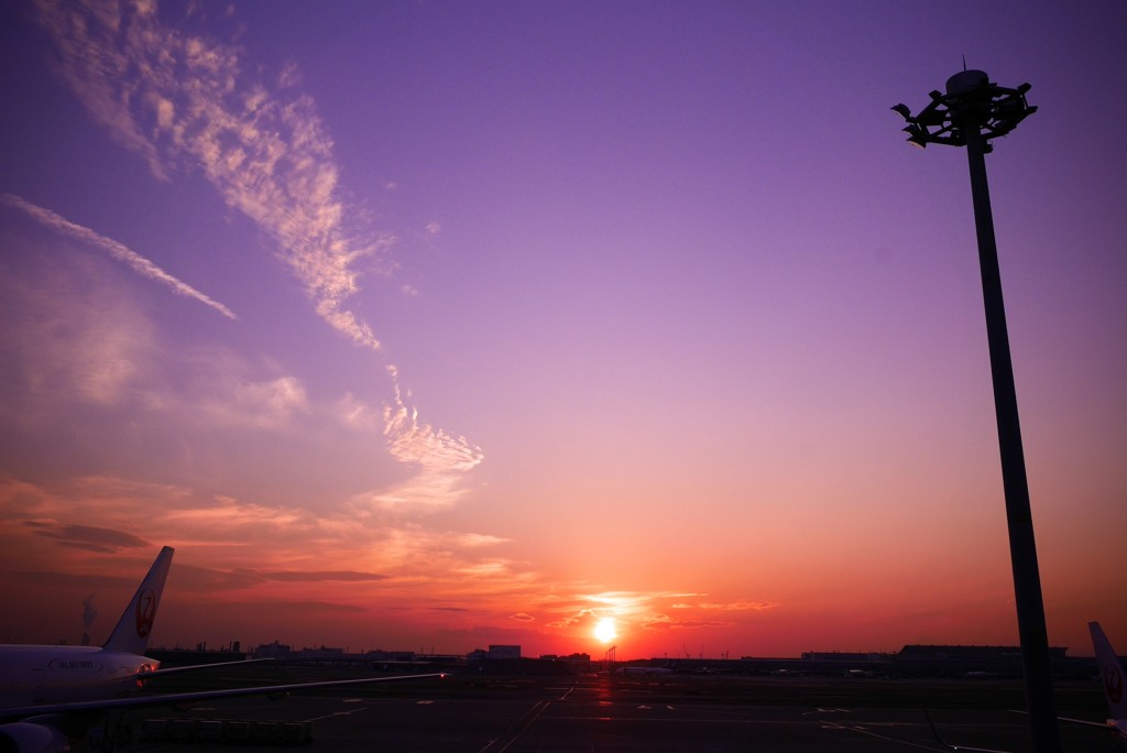 羽田空港1月8日