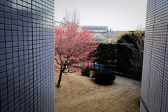 浜田山1月22日