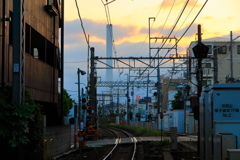 浜田山5月27日