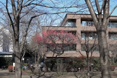 浜田山2月26日