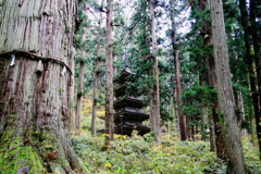 羽黒山11月11日-2