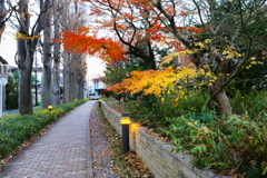 浜田山12月18日-2