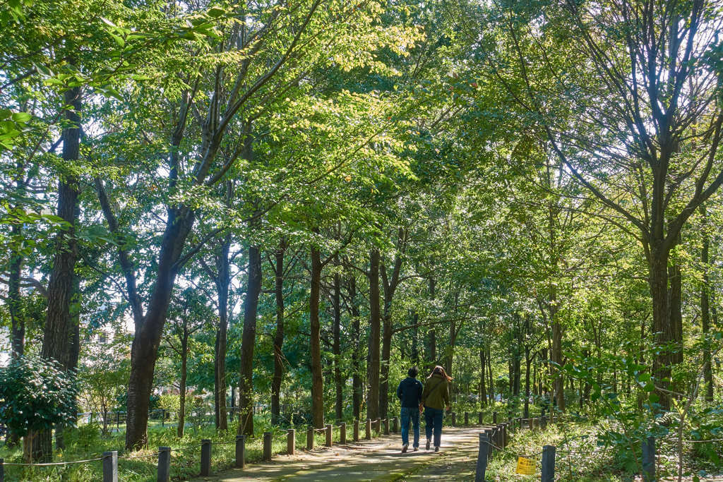 柏の宮公園10月21日