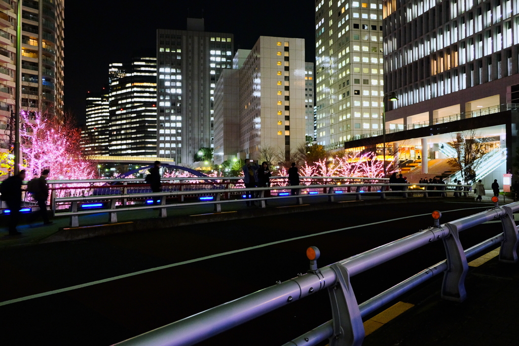大崎夜景12月19日-4