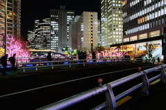 大崎夜景12月19日-4