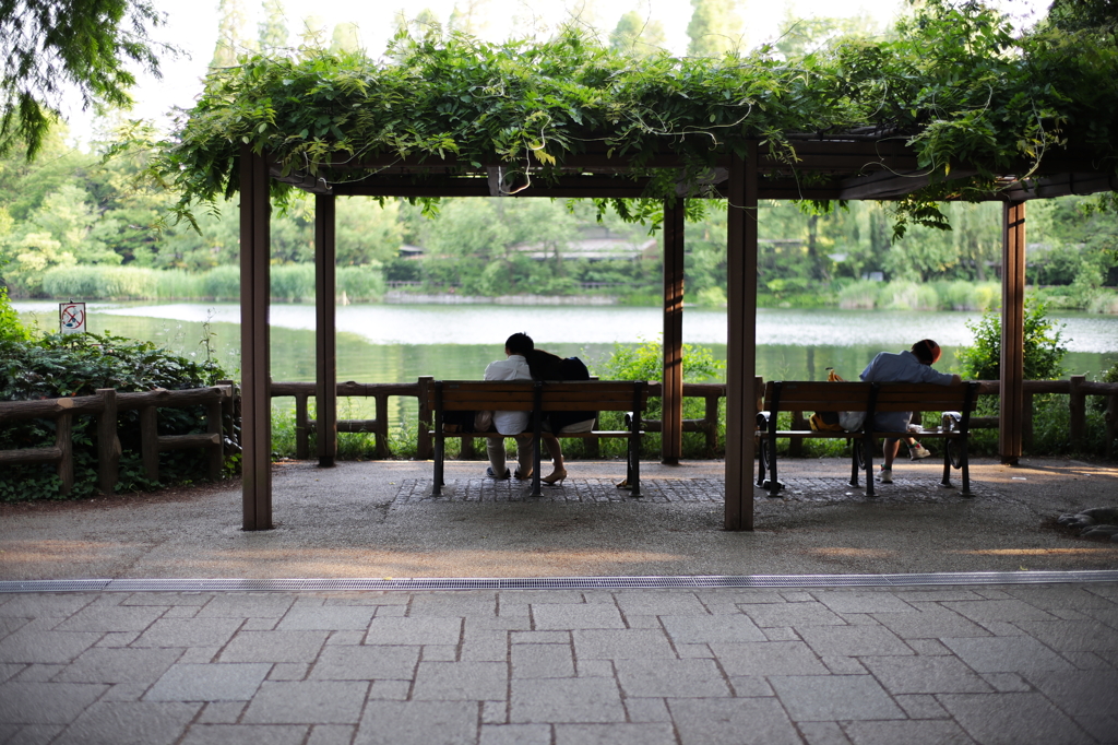 井の頭公園5月22日-2