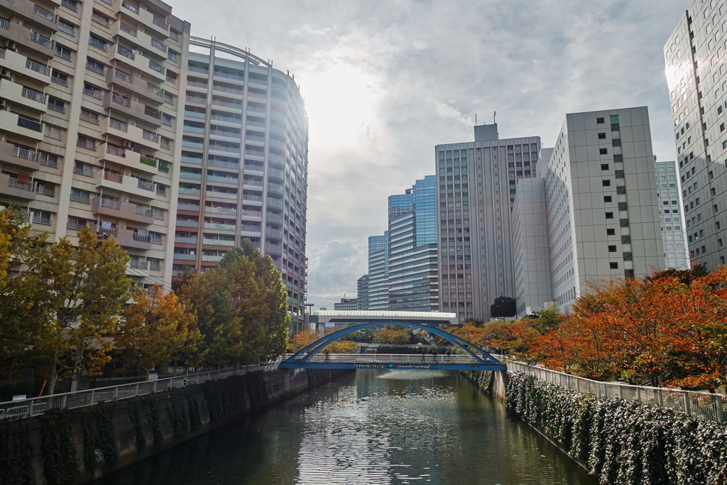 大崎10月31日