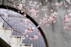 浜田山4月1日