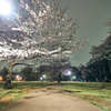 柏の宮公園3月29日-2