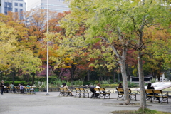 日比谷公園11月13日