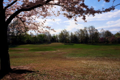 柏の宮公園4月13日-3