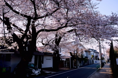 浜田山4月6日
