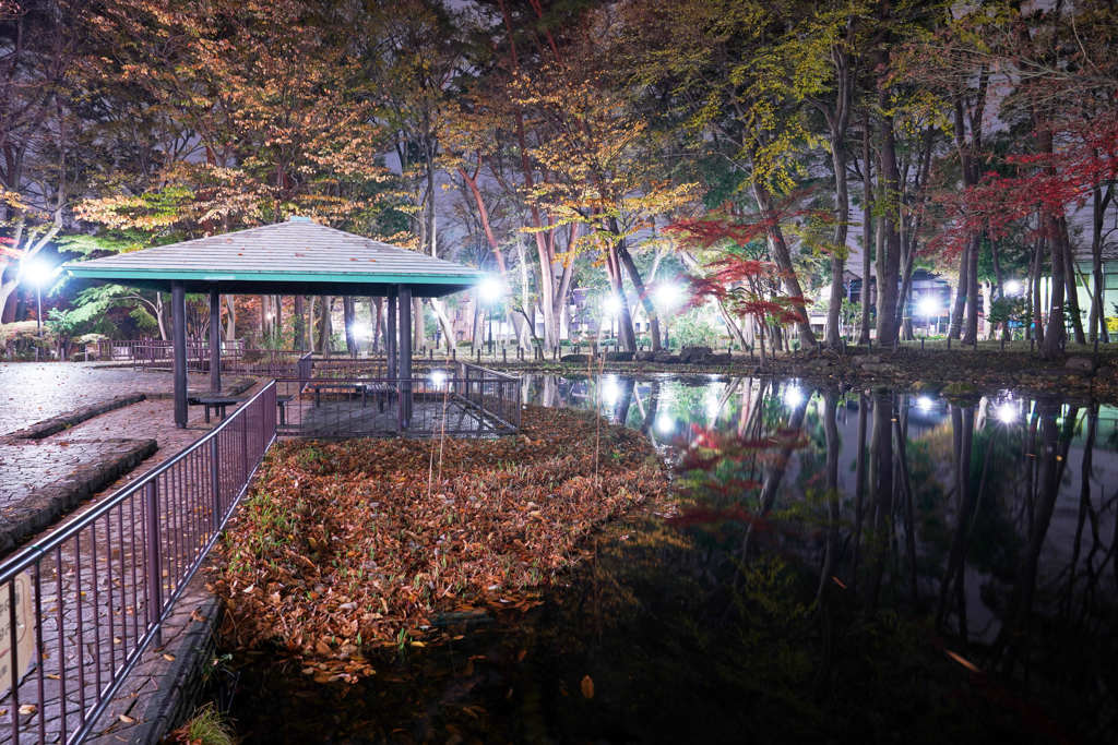 塚山公園12月7日