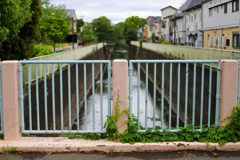 神田川5月14日-2