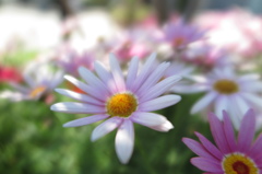 海浜幕張5月24日