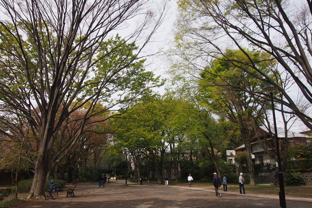 4月13日井の頭公園
