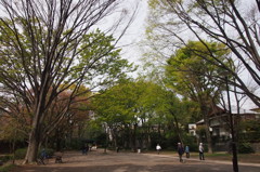 4月13日井の頭公園
