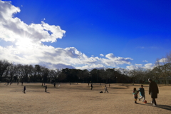 柏の宮公園1月15日