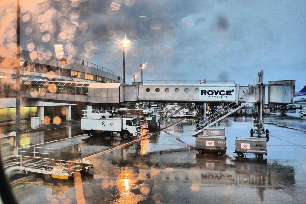 12月15日雨の千歳空港