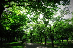 北海道大学5月31日