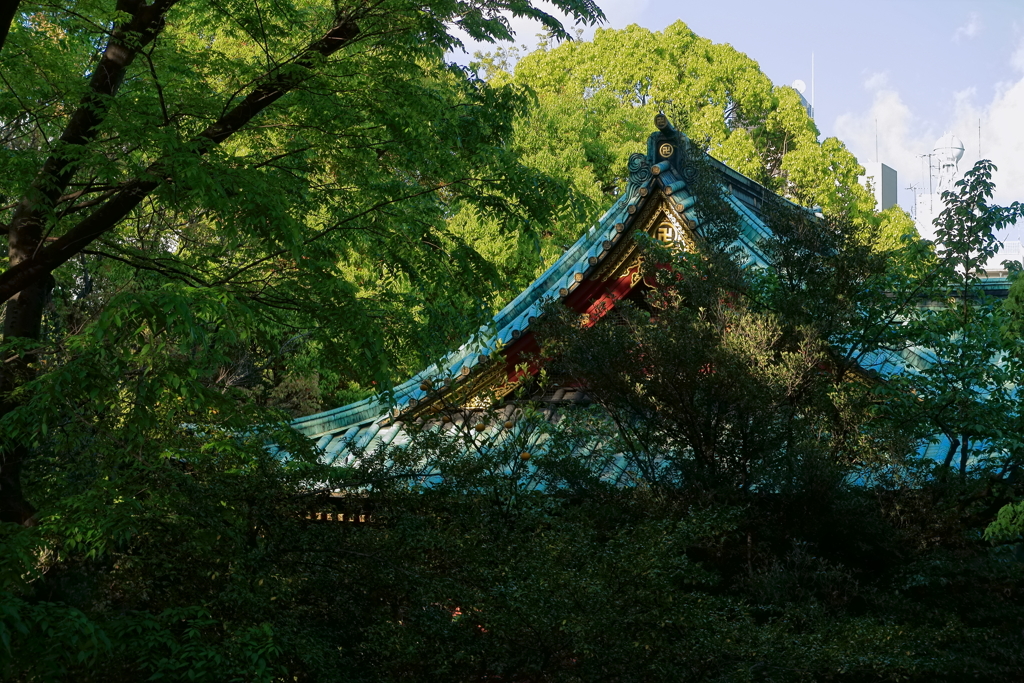根津神社4月28日