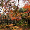 祇王寺11月23日-2