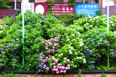 東松原駅6月10日