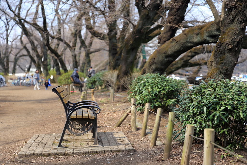 井の頭公園3月5日-1