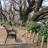 井の頭公園3月5日-1