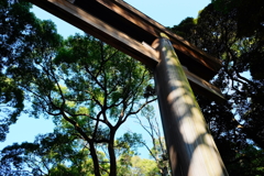 明治神宮1月4日-1