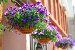 御近所のレストラン