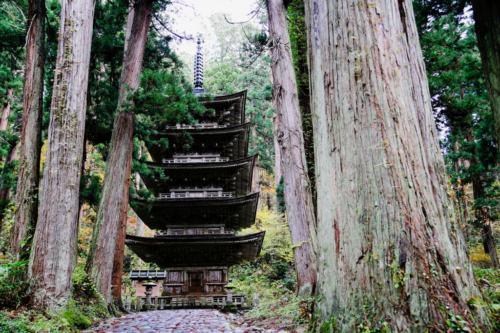 羽黒山11月11日-3