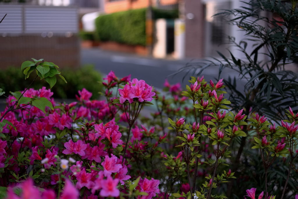 福岡5月1日