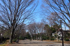 井の頭公園3月16日
