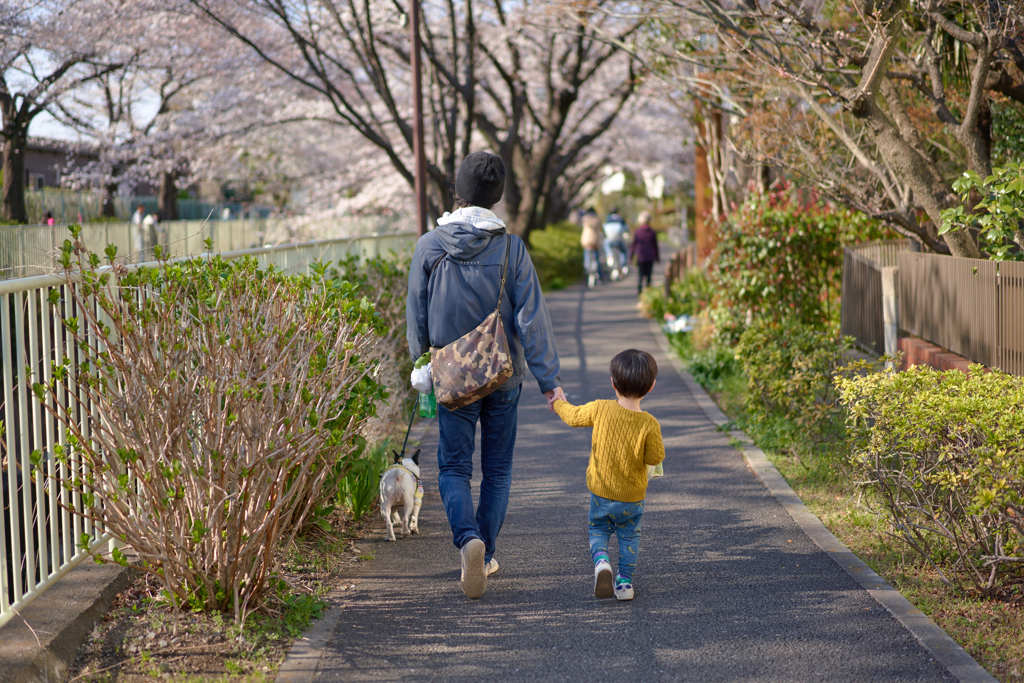 神田川3月25日