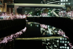 大崎12月5日-1