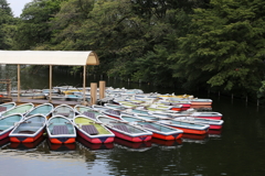 井の頭公園9月17日