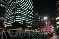 大崎12月5日-2