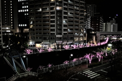 大崎11月30日
