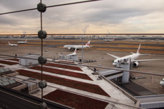 羽田空港2月8日