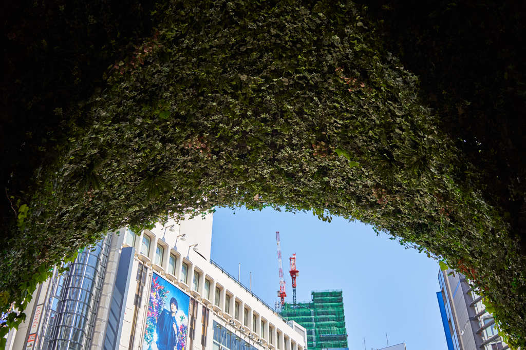 渋谷6月3日-3