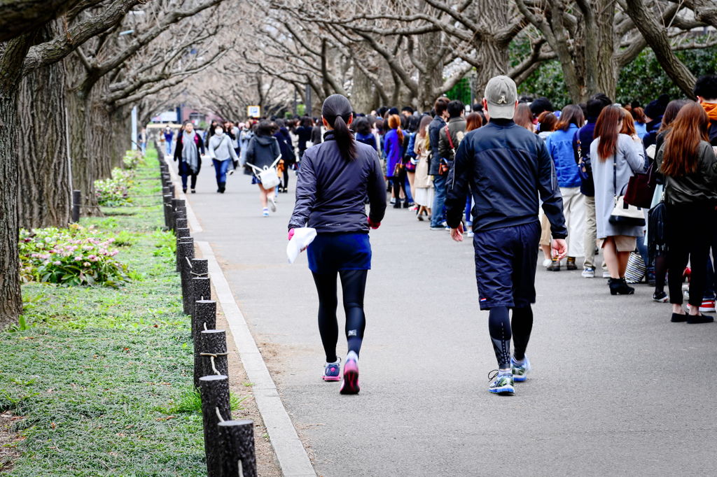 神宮外苑3月21日-3