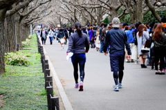 神宮外苑3月21日-3