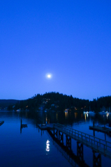Moonlight Serenade